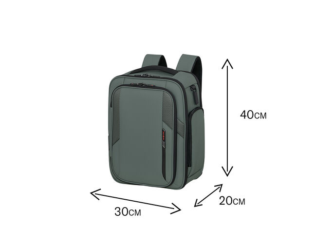 Uppfyller Ryanairs krav