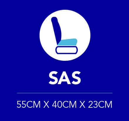 Scandinavian Airlines